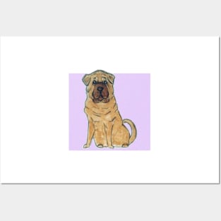 Shar pei dog Posters and Art